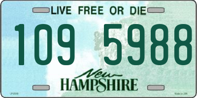 NH license plate 1095988