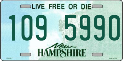 NH license plate 1095990