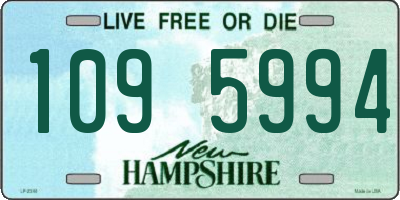 NH license plate 1095994