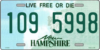 NH license plate 1095998