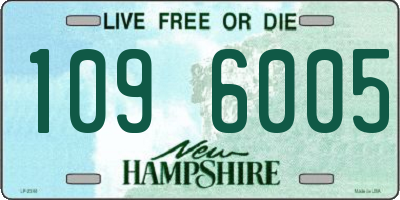 NH license plate 1096005