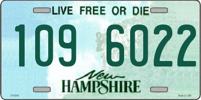 NH license plate 1096022