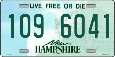 NH license plate 1096041