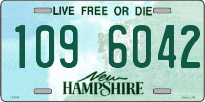NH license plate 1096042