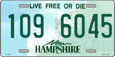 NH license plate 1096045