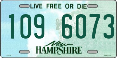 NH license plate 1096073