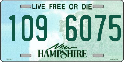 NH license plate 1096075