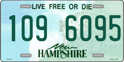 NH license plate 1096095