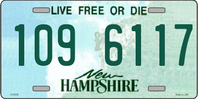 NH license plate 1096117