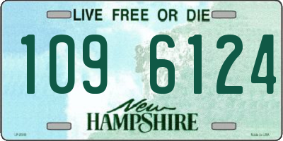 NH license plate 1096124