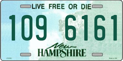 NH license plate 1096161