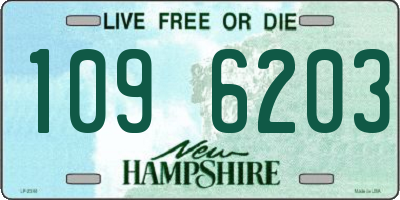 NH license plate 1096203