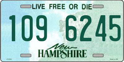 NH license plate 1096245