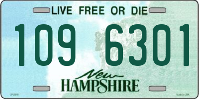 NH license plate 1096301