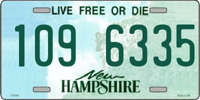 NH license plate 1096335