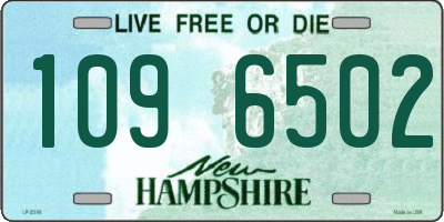 NH license plate 1096502