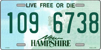 NH license plate 1096738