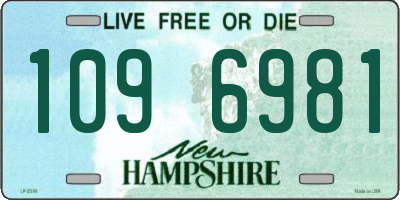 NH license plate 1096981