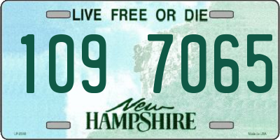 NH license plate 1097065