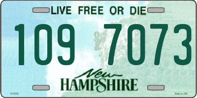 NH license plate 1097073