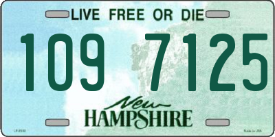 NH license plate 1097125