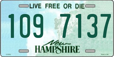NH license plate 1097137