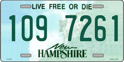 NH license plate 1097261