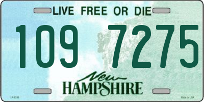 NH license plate 1097275