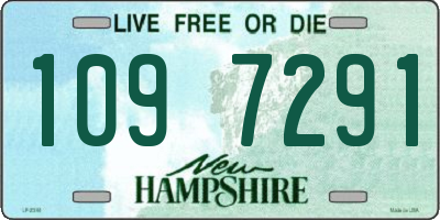 NH license plate 1097291
