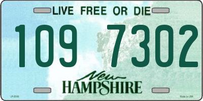 NH license plate 1097302