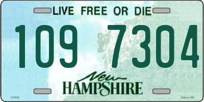 NH license plate 1097304