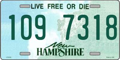 NH license plate 1097318