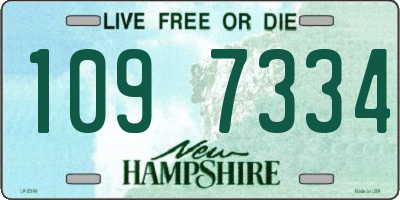 NH license plate 1097334