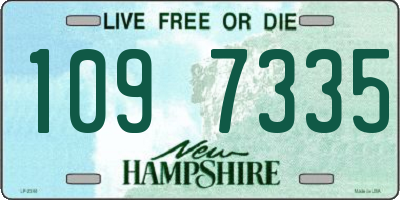 NH license plate 1097335