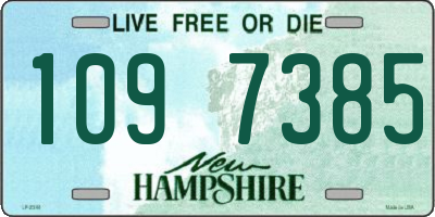 NH license plate 1097385