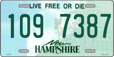 NH license plate 1097387
