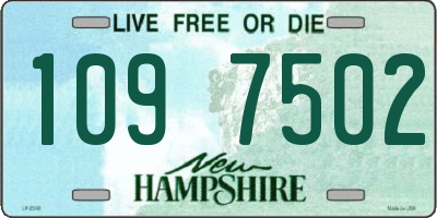 NH license plate 1097502