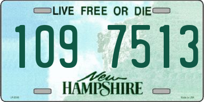 NH license plate 1097513