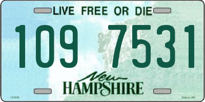 NH license plate 1097531