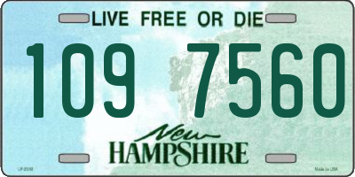 NH license plate 1097560