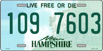 NH license plate 1097603
