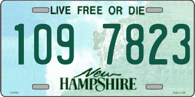 NH license plate 1097823