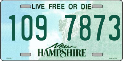 NH license plate 1097873