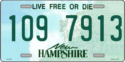NH license plate 1097913