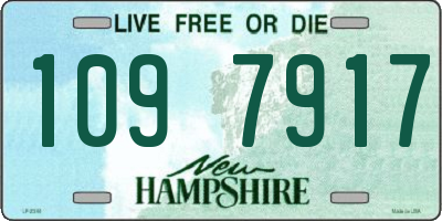 NH license plate 1097917