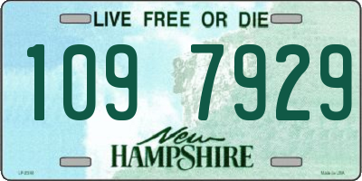 NH license plate 1097929