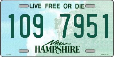 NH license plate 1097951