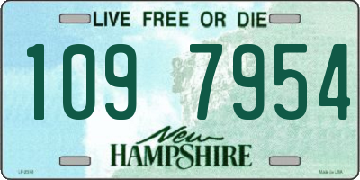 NH license plate 1097954