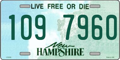 NH license plate 1097960