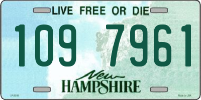 NH license plate 1097961